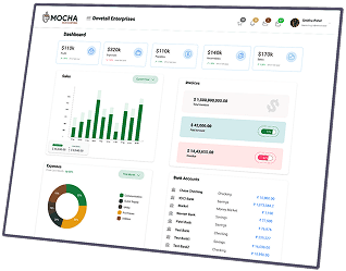 Mocha Accounting feature screen