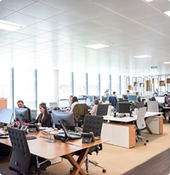 Design-build consultants